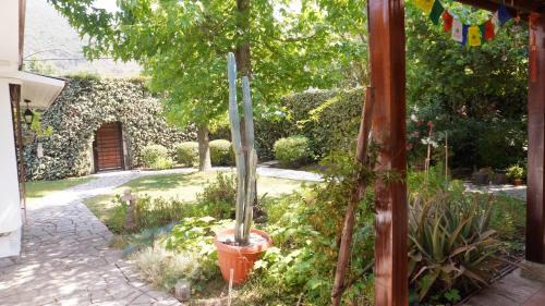 Melocoton Apartamento | Casa Acacios