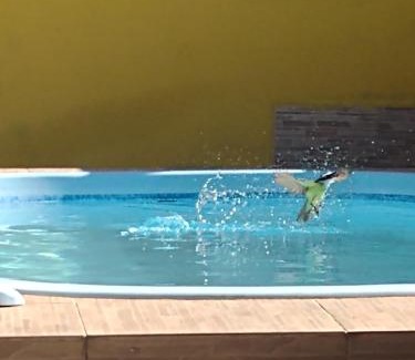 Tamoios Casa | Casa aconchegante com piscina e churrasqueira