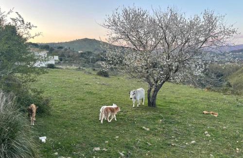 Itri Casa | CASA ADELE 1 per una vacanza in semplicità e relax in prossimità di Sperlonga