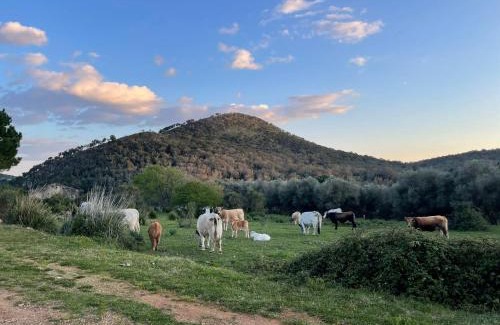 Itri Casa | CASA ADELE 1 per una vacanza in semplicità e relax in prossimità di Sperlonga