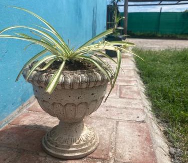 San Luis Apartamento | Casa Adianchi