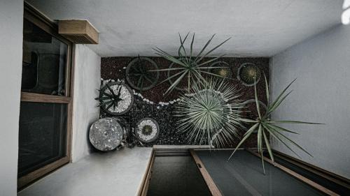 La Paz Hotel | Casa al Mar