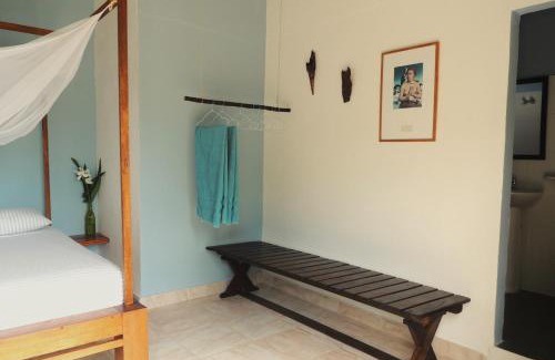 Palomino Casa | Casa AliBri