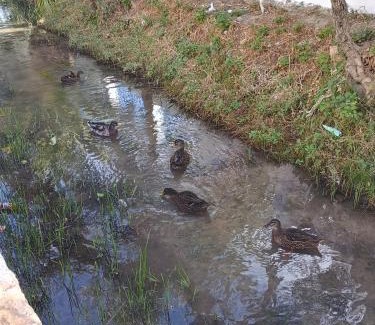 Cuevas del Becerro Casa | casa andalucia