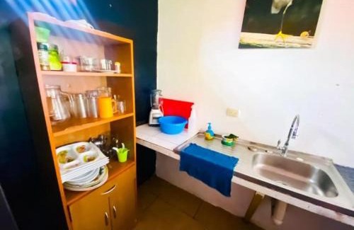 Tortuguero Casa | Casa Artavia