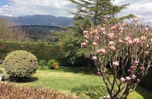 Ioannina Apartamento | Casa Artistico