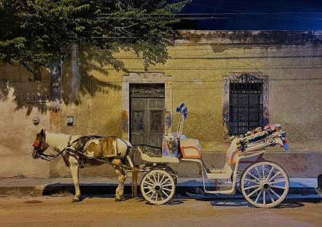 Centro Apartamento | Casa Aurora Mérida, Centro Histórico