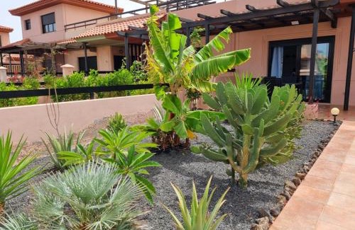 La Oliva Casa | Casa Azul