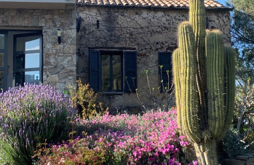 Casta Casa | CASA BATTAGLIOLA - CORSE DU NORD - 10/20 pers