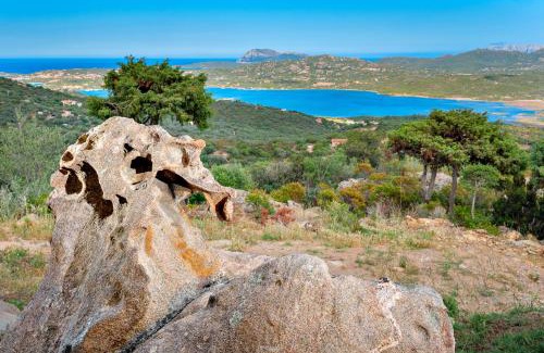 Olbia Casa | Casa Bellavista