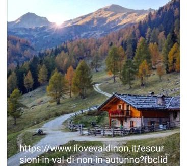 Revo Apartamento | Casa "Berto e Costantina"