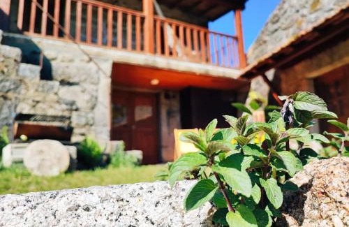 Melgaco Casa | Casa Boletus