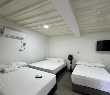 Samana Casa | Casa Bosque Vivo