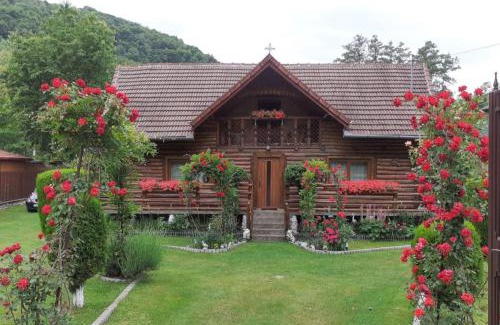 Orastioara de Sus Casa | Casa Bunicii