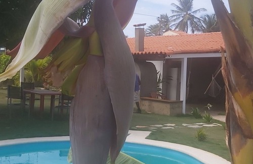 Margarita Island Casa | Casa Caraibe Playa el Agua Vacances Inoubliable au Soleil