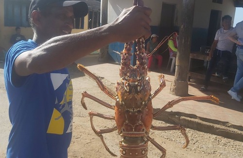 Margarita Island Casa | Casa Caraibe Playa el Agua Vacances Inoubliable au Soleil