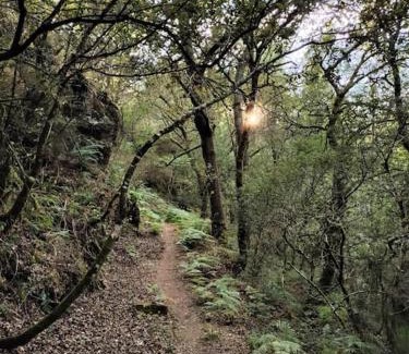 O Irixo Casa | Casa Carmiña: Casa para pequeños grupos en el corazón de Galicia