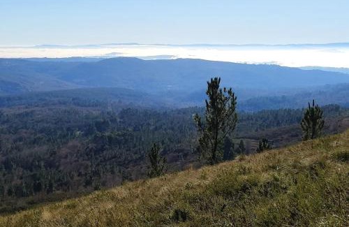 O Irixo Casa | Casa Carmiña: Casa para pequeños grupos en el corazón de Galicia