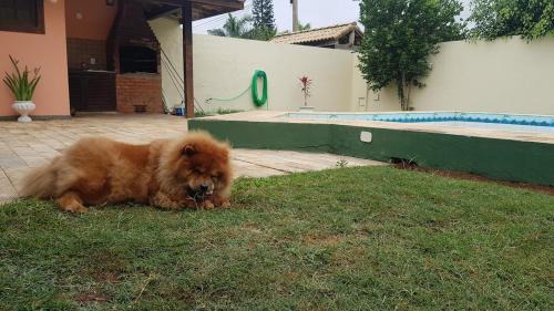 Ogiva Casa | Casa com piscina e churrasqueira Cabo Frio Ogiva