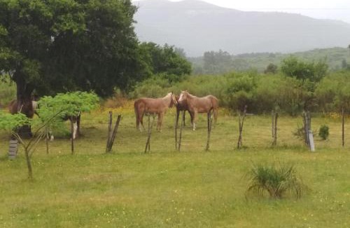Maldonado Casa | Casa completa para 12 personas - El Encuentro, Mar y Sierras