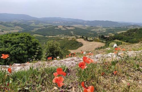 Monteguidi Apartamento | Casa Contadina in borgo medievale, Tuscany