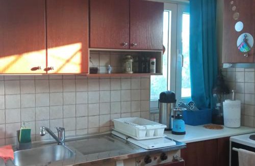 Livadia Casa | Casa D'armaros