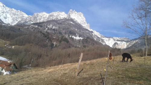 Recoaro Terme Casa | Casa da 2 a 7 posti nelle Piccole Dolomiti