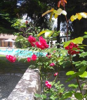 Santa Maria da Feira Casa | Casa da Boavista