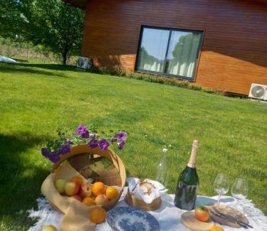 Ponte de Lima Casa | Casa da Ferreirinha