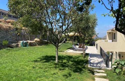 Cinfaes Apartamento | Casa da Zéfinha - Villa, em Cinfães, no Douro