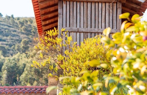 Barroselas Casa | Casa das Buganvílias Quinta da Fonte - Viana do Castelo