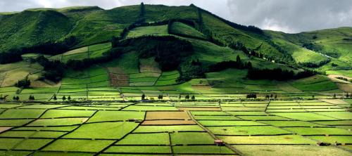 Angra do Heroismo Apartamento | Casa das Cinco