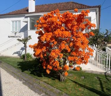 Pacos De Ferreira Casa | Casa das Uveiras
