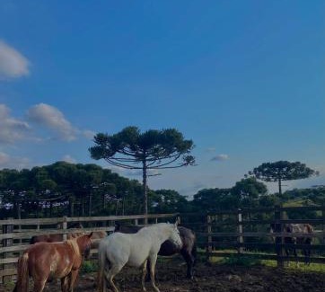 Bom Jardim da Serra Casa | Casa de Campo Fazenda Invernada Grande