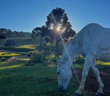 Bom Jardim da Serra Casa | Casa de Campo Fazenda Invernada Grande