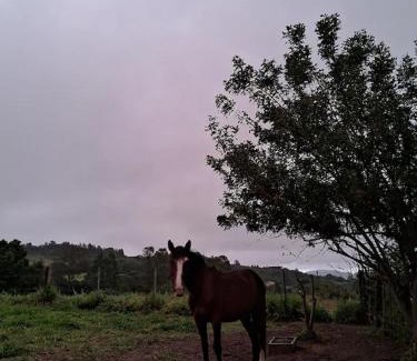 Itapua Casa | Casa de Campo com Açude a 5 minutos da Praia de Itapuã
