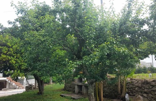 Ponte da Barca Cabaña | Casa de Campo Junto ao Parque Nacional Peneda-gerês