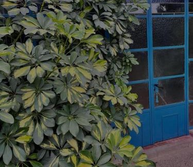 Yerba Buena Apartamento | Casa de Huéspedes La Escondida