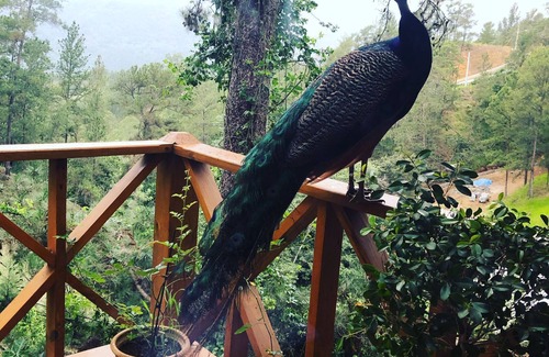 Jarabacoa Villa | Casa de Montaña Villa Maya