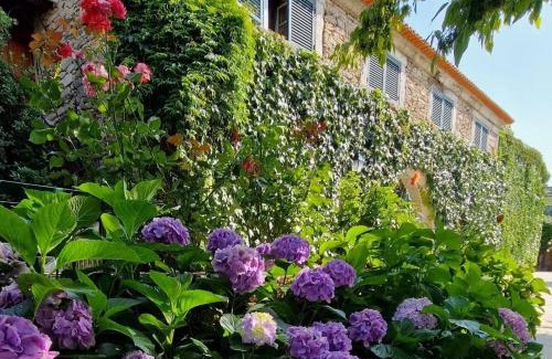 Armamar Casa | Casa de Sao Miguel Douro