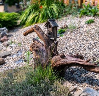 Bembibre Casa | Casa de turismo rural Sardom3
