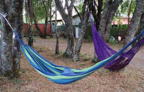 Valdivia Casa | Casa de Vacaciones Naturalis Lodge - Valdivia