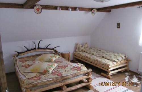 Rau Sadului Casa | Casa de vacanta Vidrighin