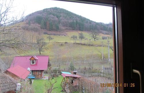 Rau Sadului Casa | Casa de vacanta Vidrighin