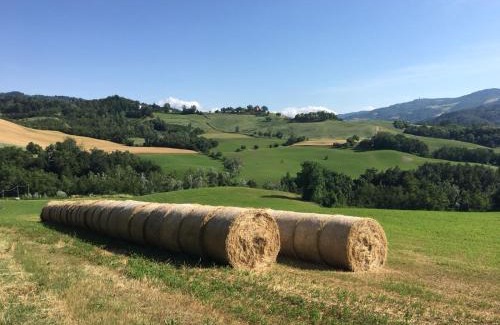 Farne Apartamento | Casa Di Cinti