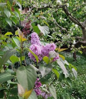 Santa Luce Apartamento | Casa di Giulia (Bambini gratis fino a 6 anni)