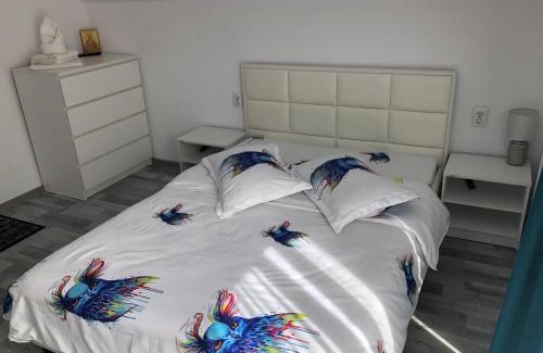 Poiana Marului Casa | Casa din gradina