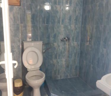 Baile Herculane Casa | Casa Dina