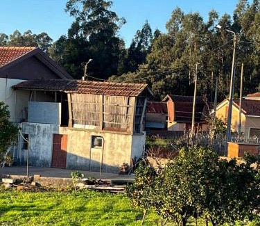 Loureiro Casa | Casa do Caracol
