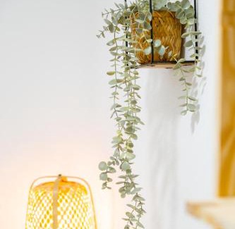 Reguengos de Monsaraz Casa | Casa do Lago